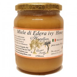 Miele di Edera 500g