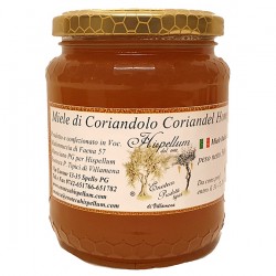 Miele di Coriandolo 500g